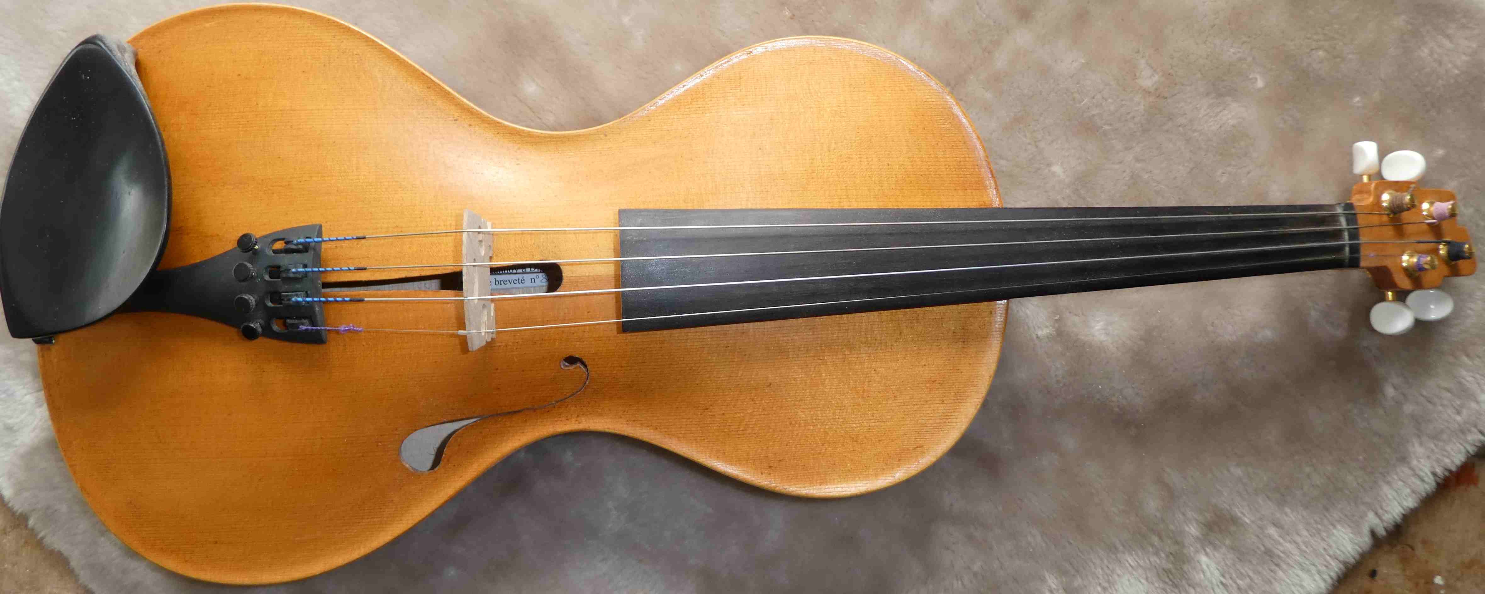 violon coup�